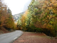 Corsica autumn